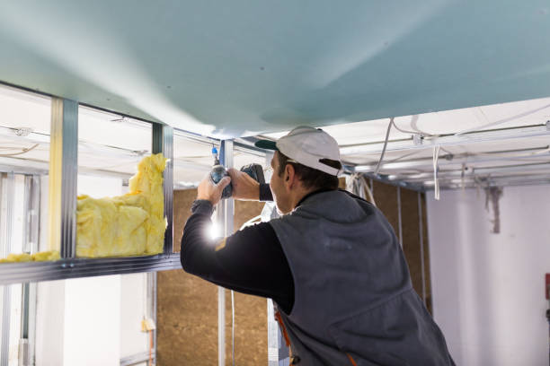 Types of Insulation We Offer in Rehobeth, AL