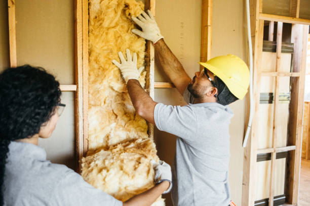 Best Insulation Air Sealing  in Rehobeth, AL